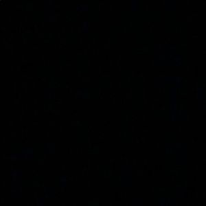 Meet your Posher, Jackson